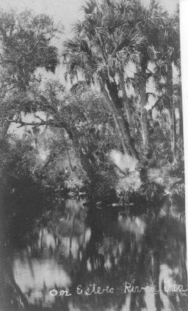 On Estero River Fla.