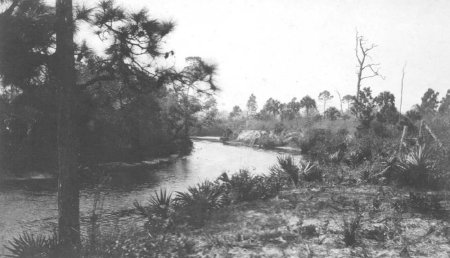 Estero River (location unk.)